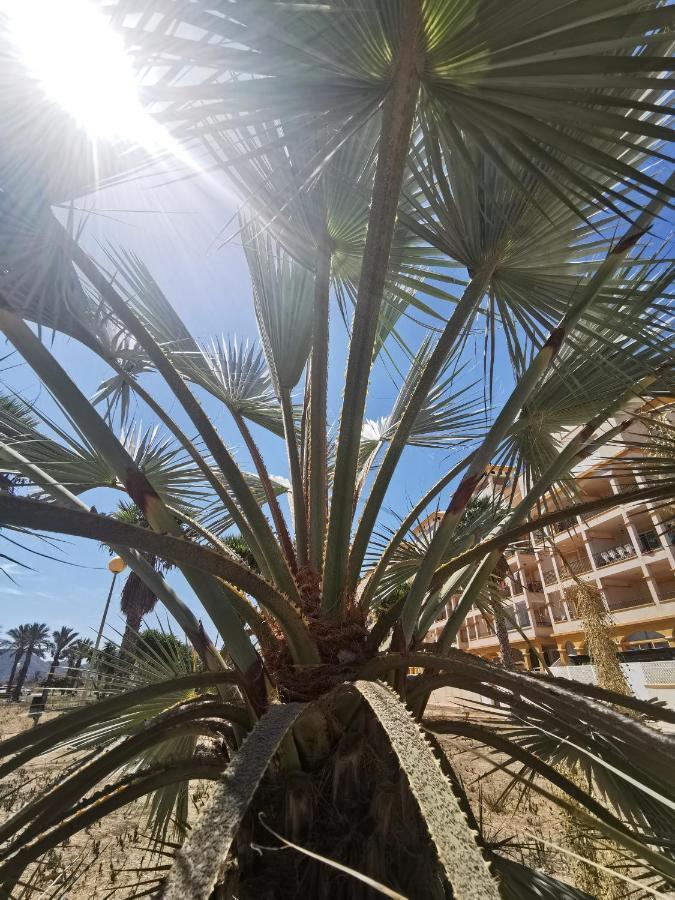Spain Apartments Mar De Cristal Luaran gambar
